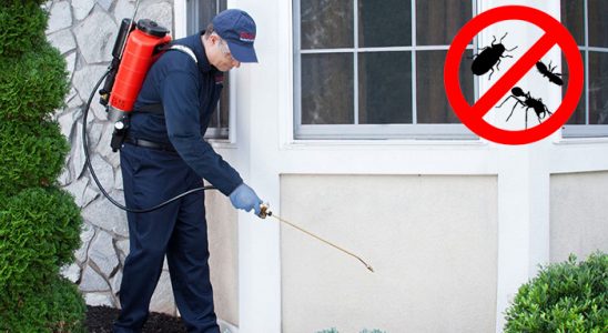 Ulukışla Böcek İlaçlama böcek ilaçlama ve haşere kontrolü — ilaclama-tr.com
